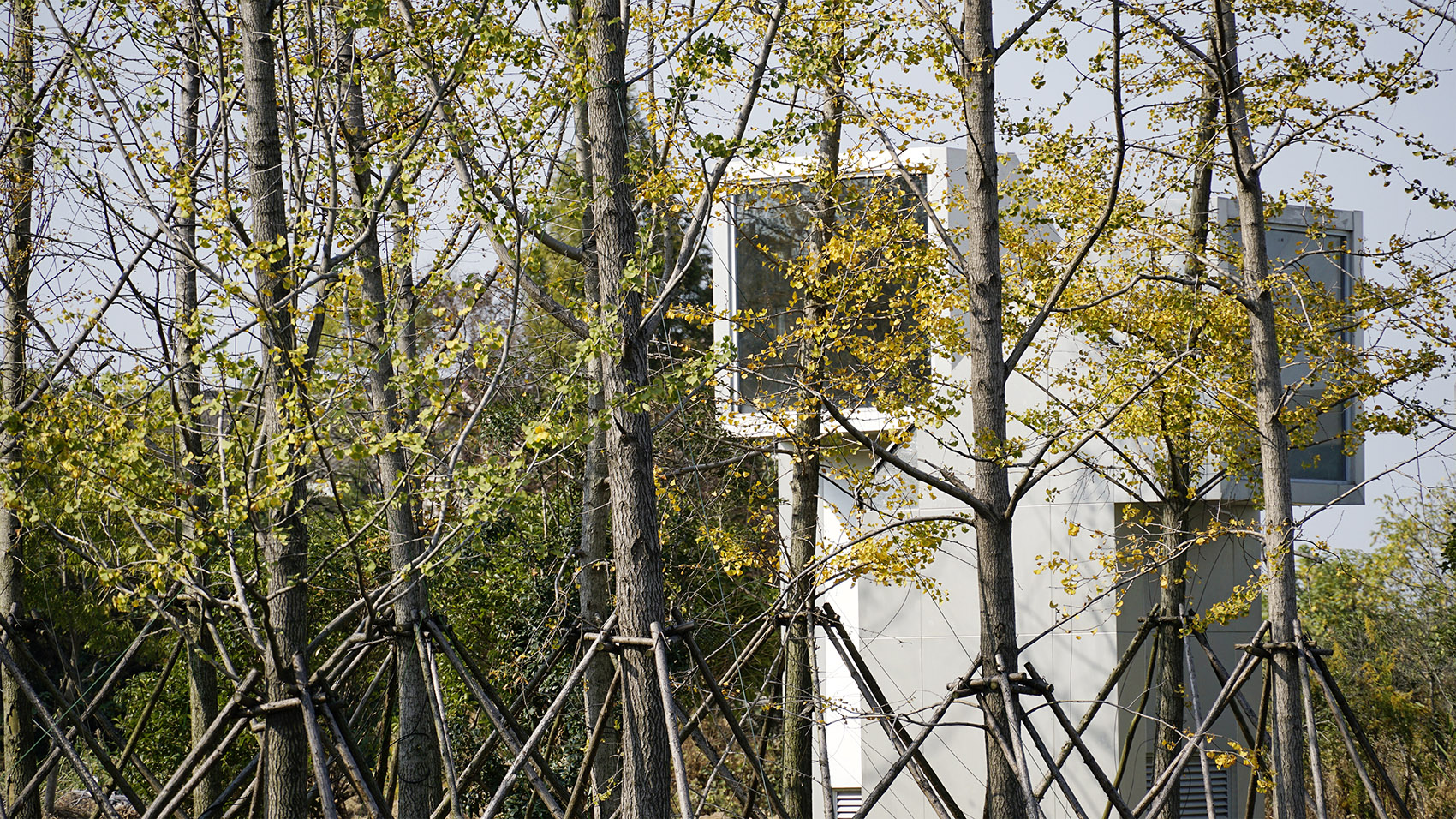 periscope toilet china by hexia architects