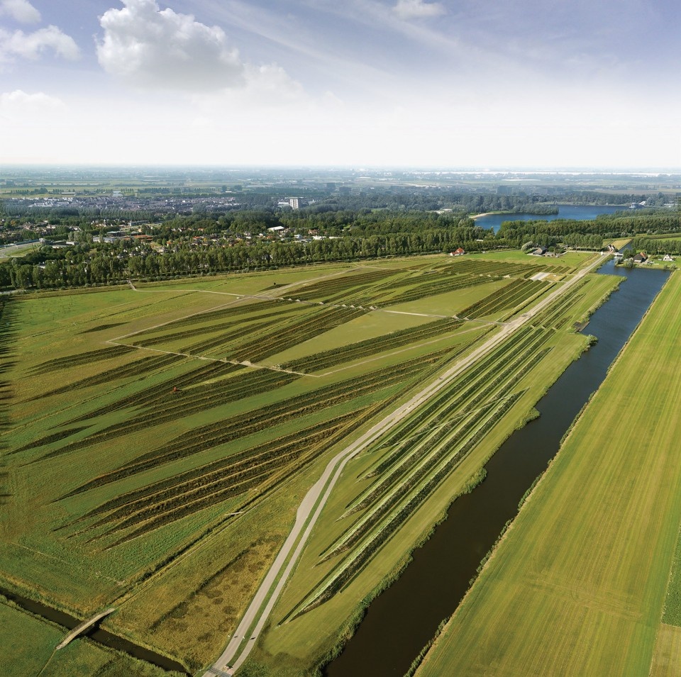 art in the field design for rural revitalization