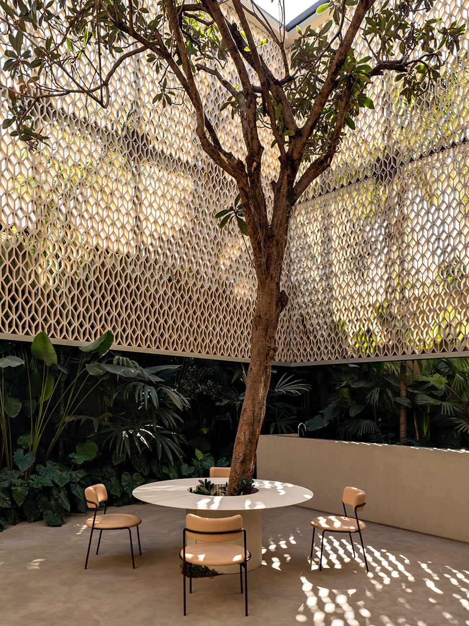 55 Design by Studio Arthur Casas