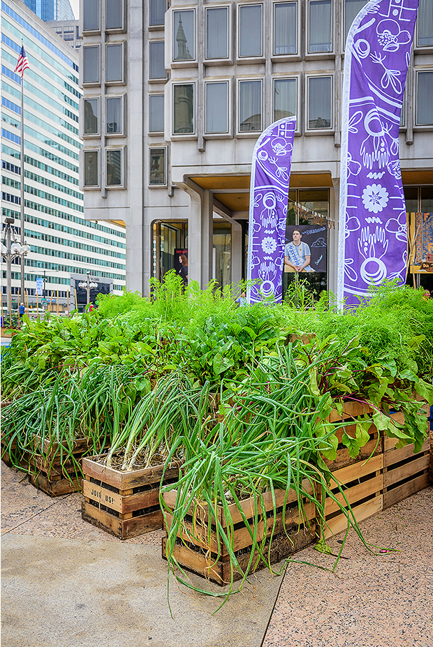 2021 asla urban design award of honor farm for the city viridian landscape studio