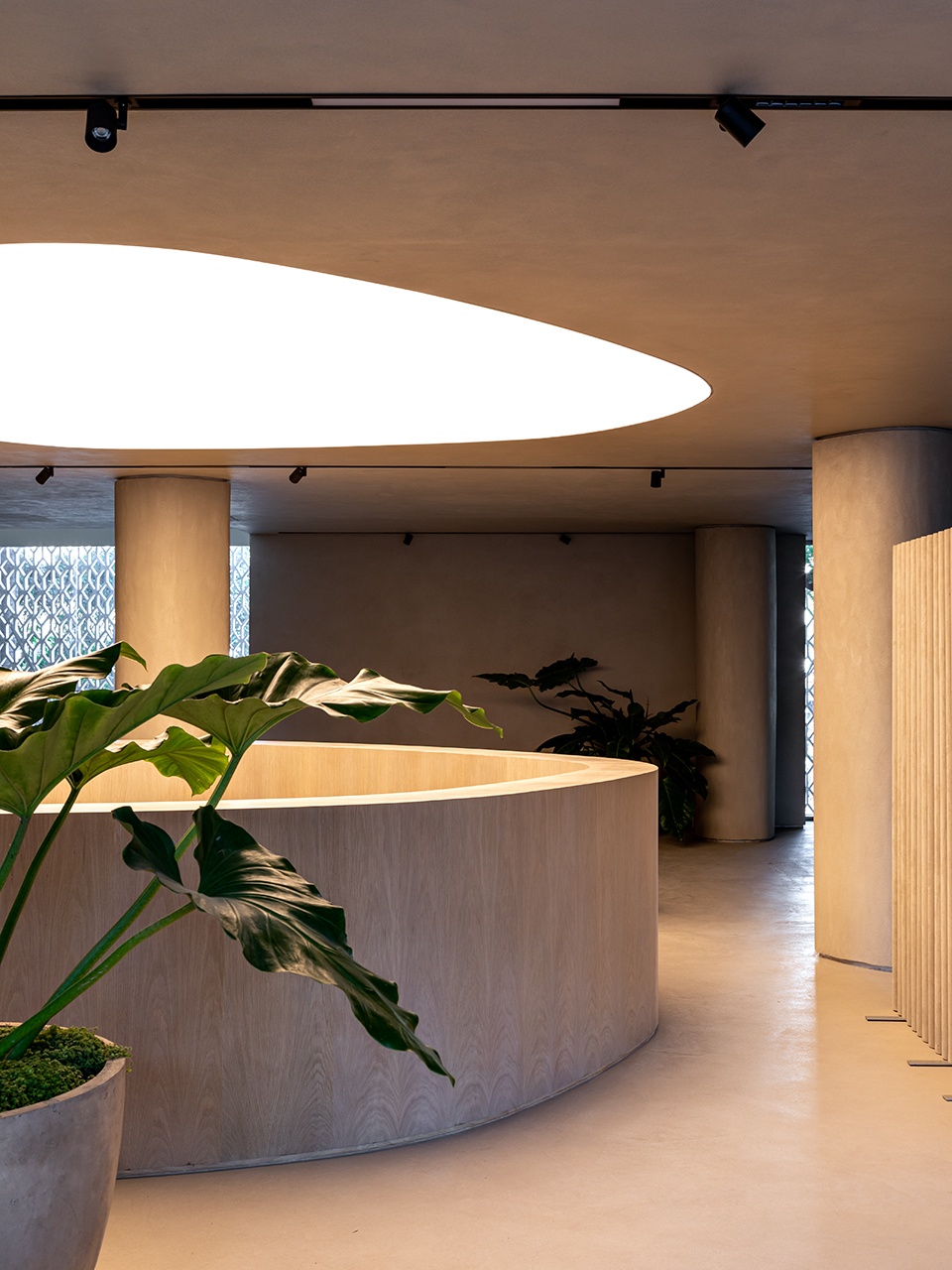 55 Design by Studio Arthur Casas
