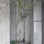 林省工作室，厦门 / 退化建筑
