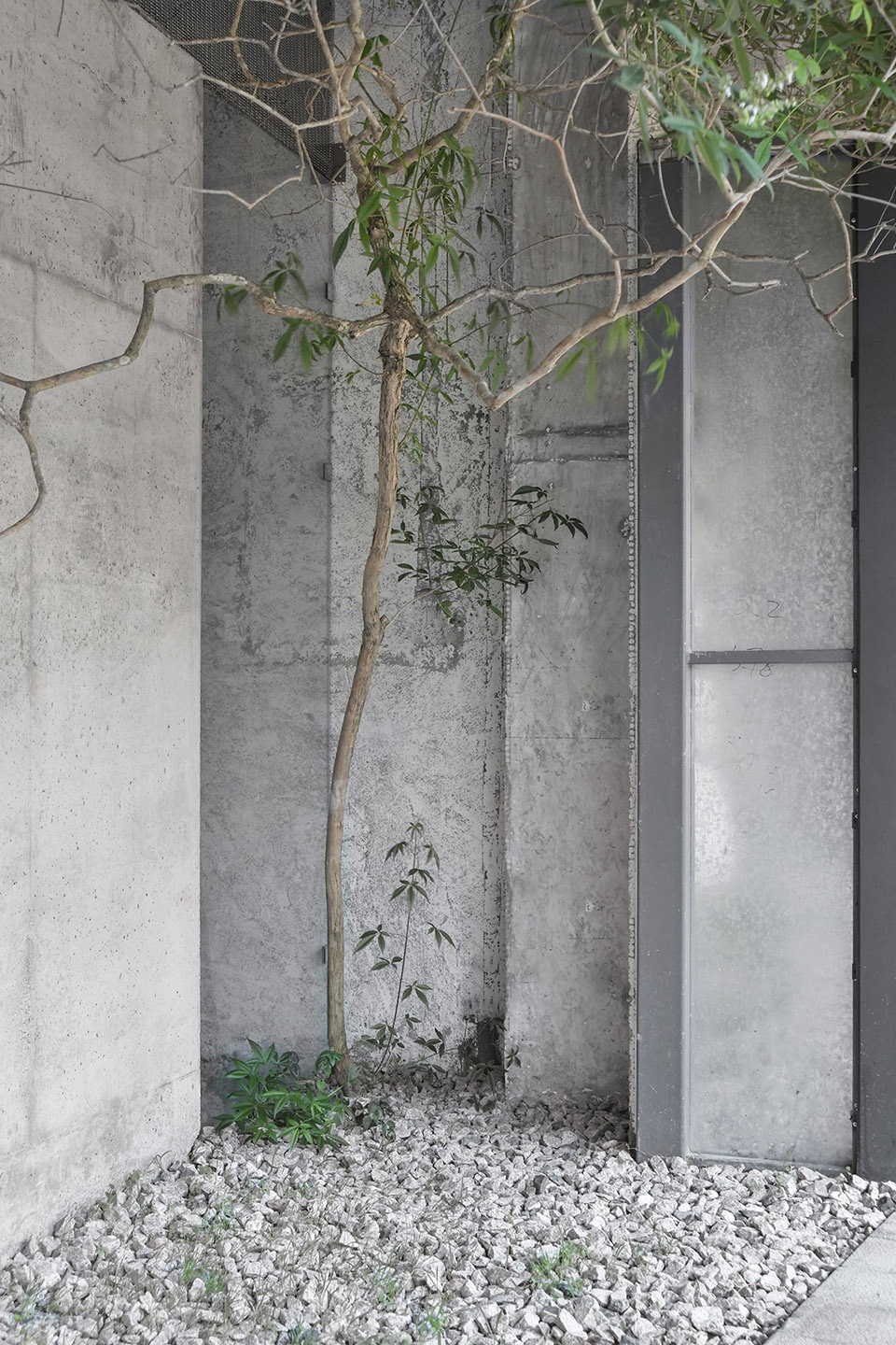 linsheng studio xiamen by devolution