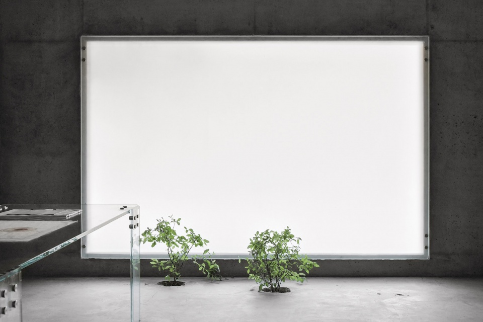 linsheng studio xiamen by devolution