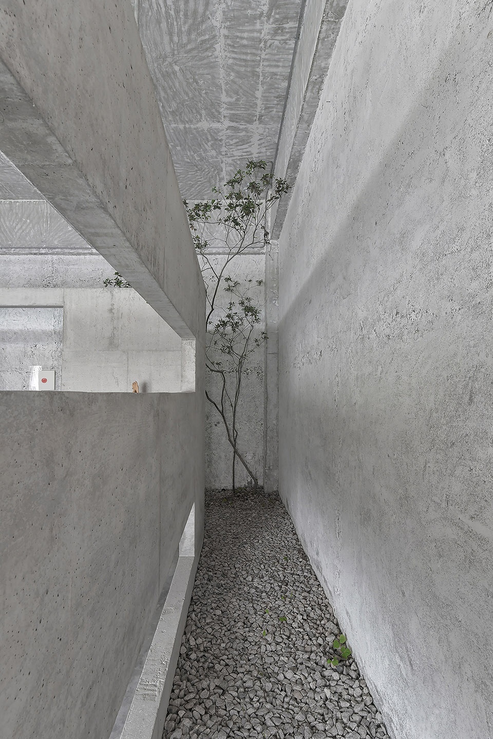 linsheng studio xiamen by devolution