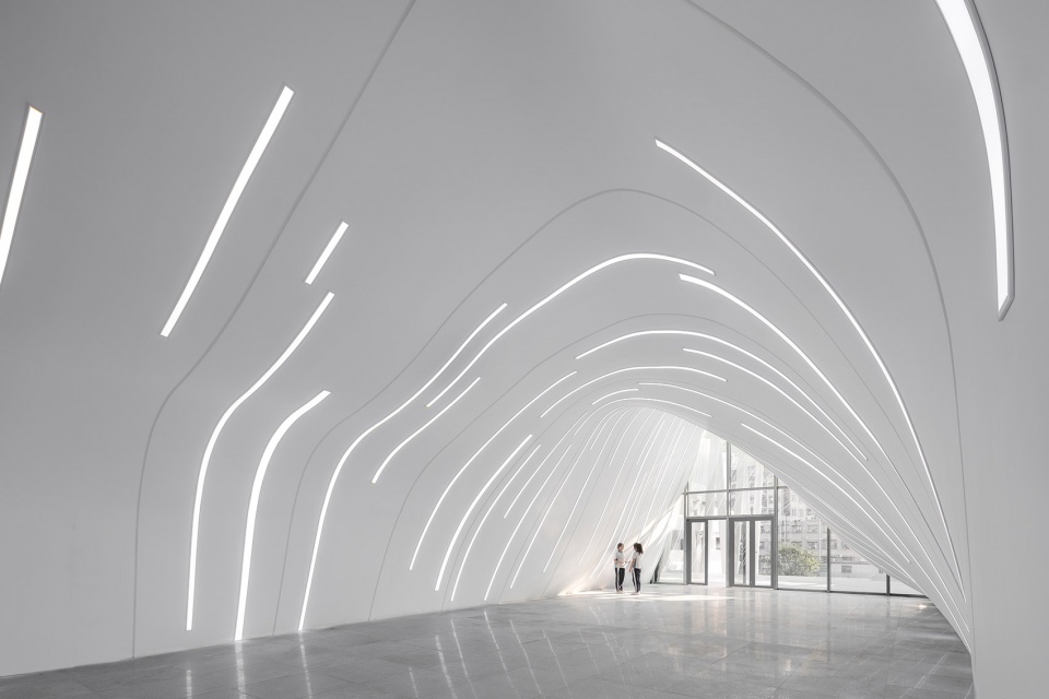 Shenzhen Hongshan Middle School CAPOL