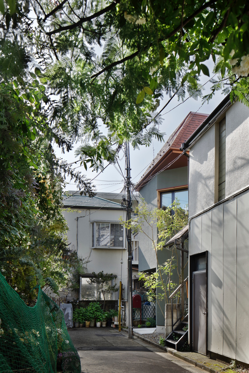 a tiny house with park by niko design studio