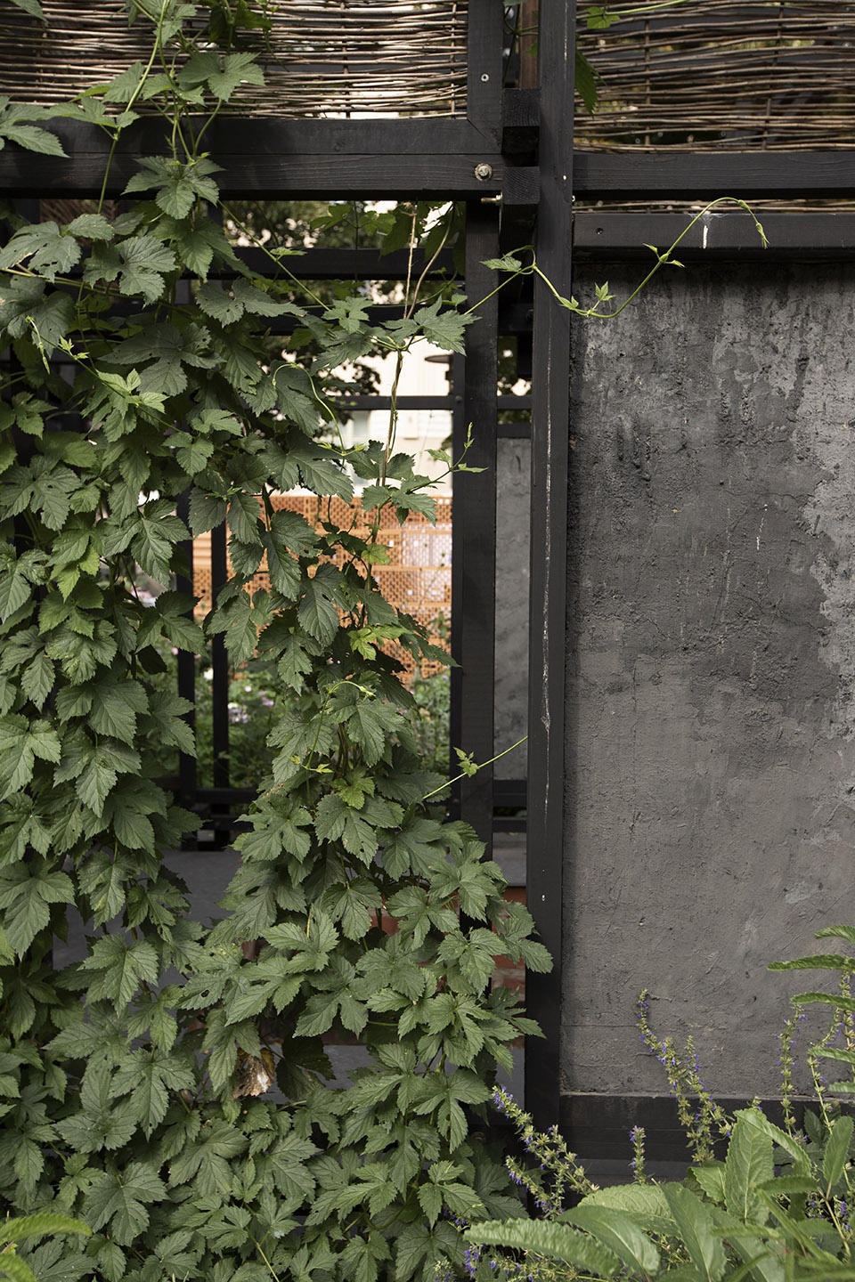 alusta pavilion by suomikoivisto architects