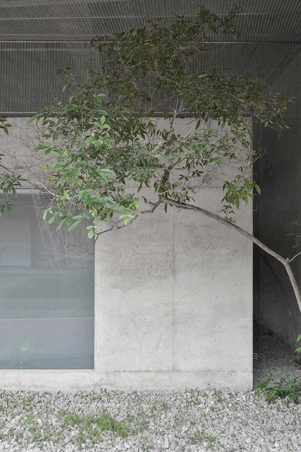 linsheng studio xiamen by devolution
