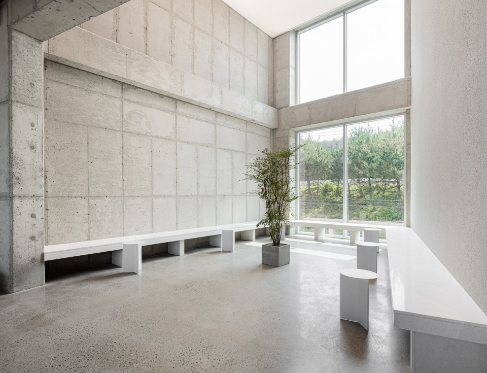 bossa nova roasters by oftn studio