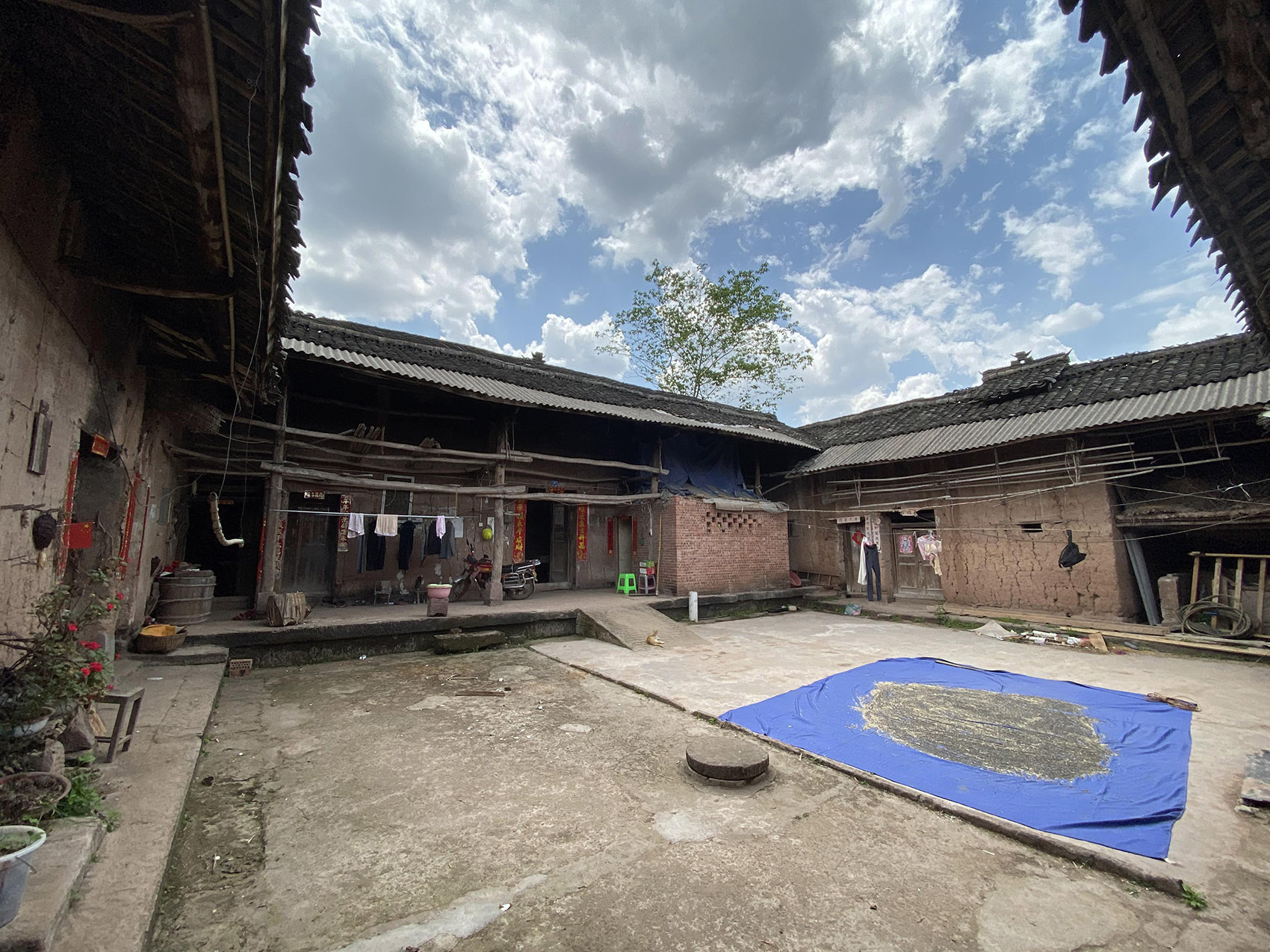 Tao Family Courtyard SecondNature