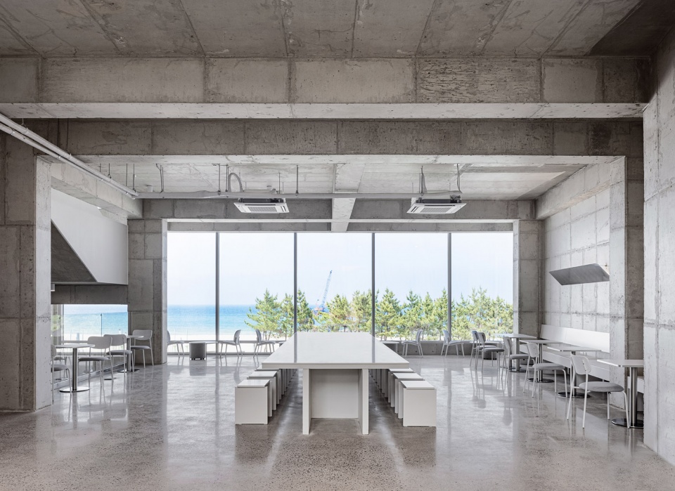 bossa nova roasters by oftn studio