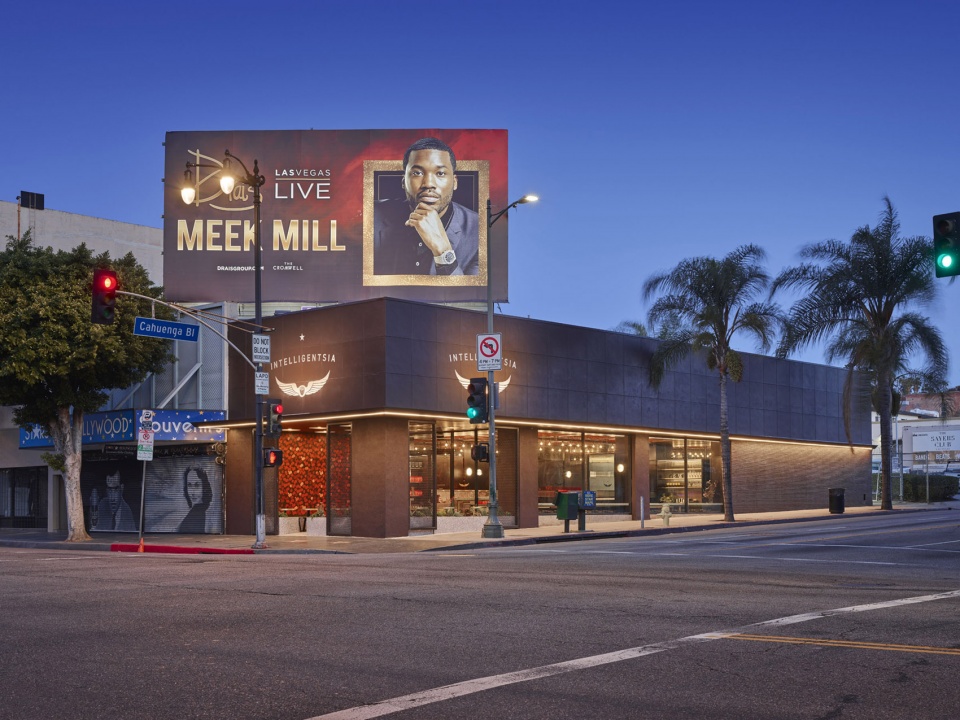 intelligensia hollywood by standard architecture