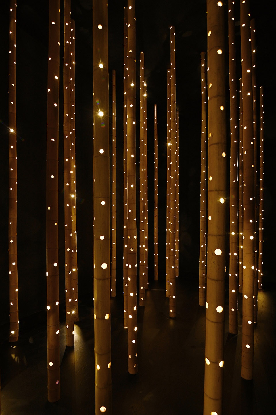 symphony at summer night bamboo art installation by hexia architects