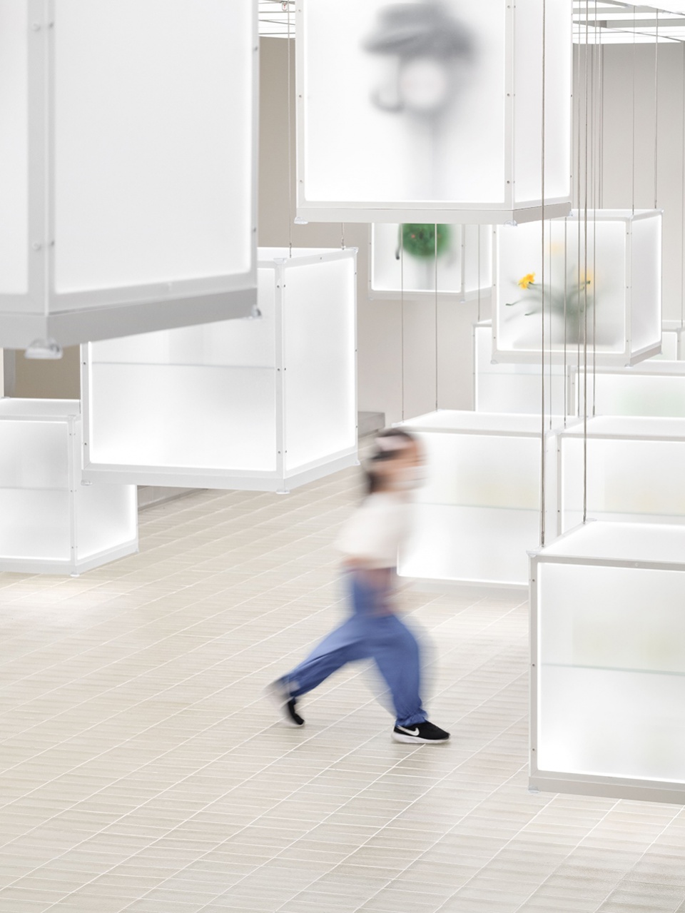 super seed concept store by fog architecture