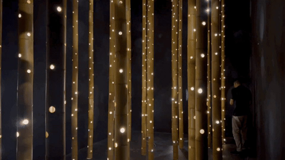 symphony at summer night bamboo art installation by hexia architects c48