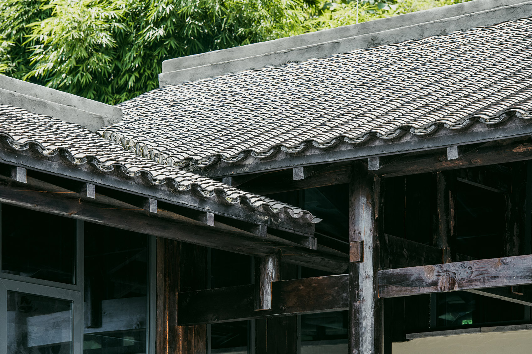 Tao Family Courtyard SecondNature