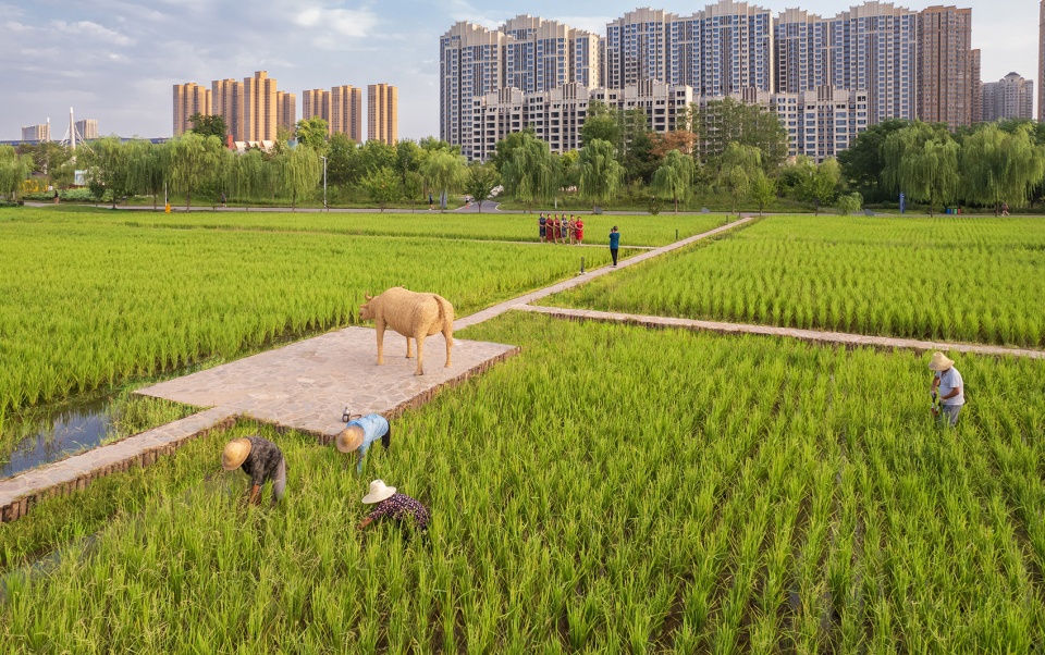 daoxiangyuan changan park china by shanghai chidi studio11