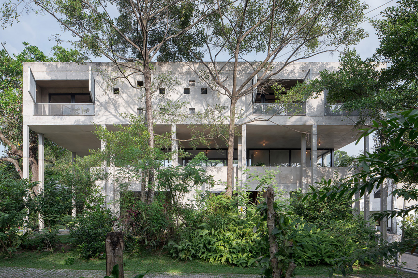 Big Trees Small Plants ReAD Studio fws