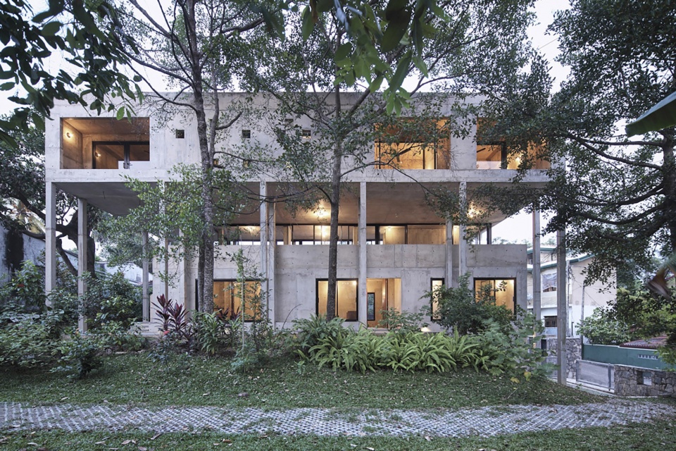 Big Trees Small Plants ReAD Studio