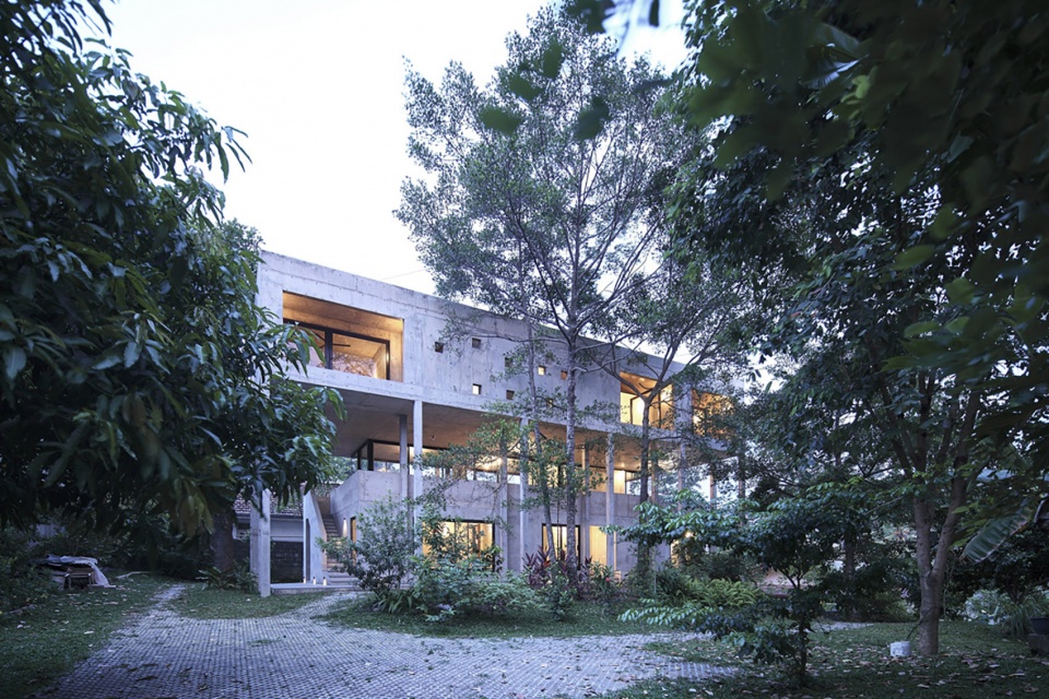 Big Trees Small Plants ReAD Studio