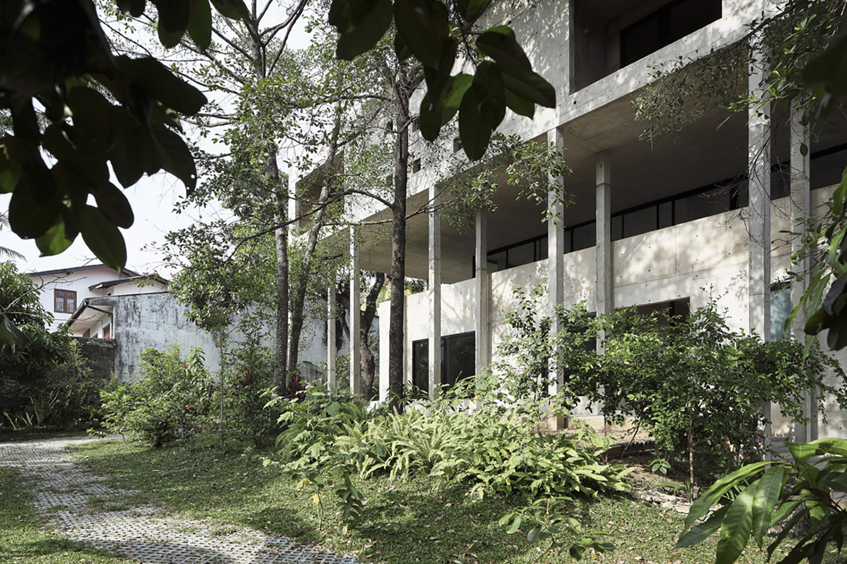 Big Trees Small Plants ReAD Studio