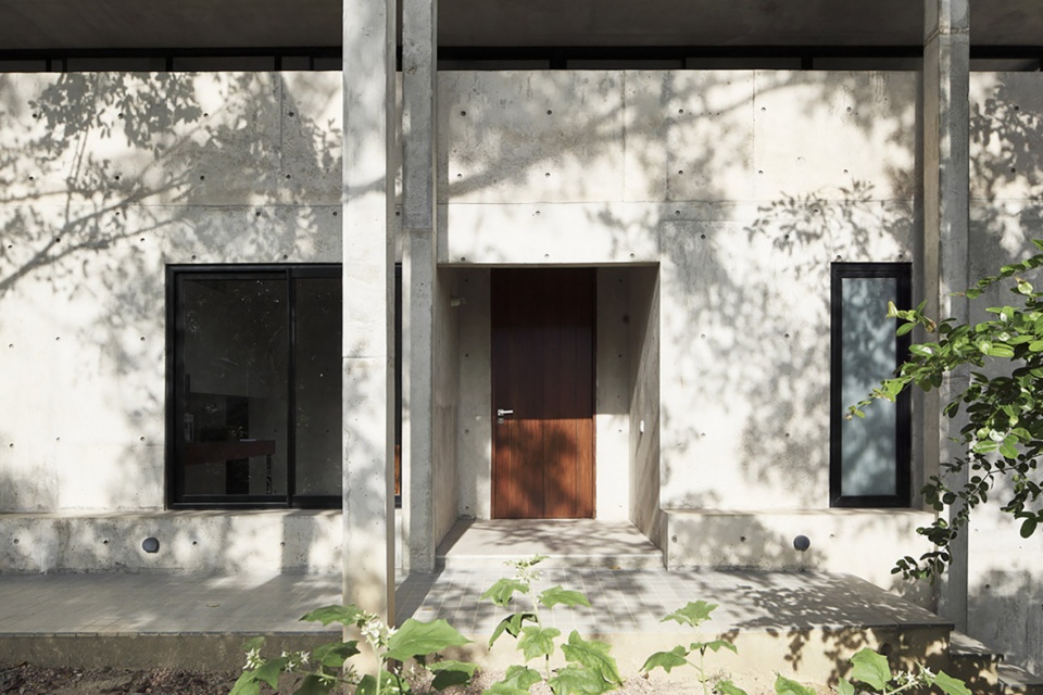 Big Trees Small Plants ReAD Studio