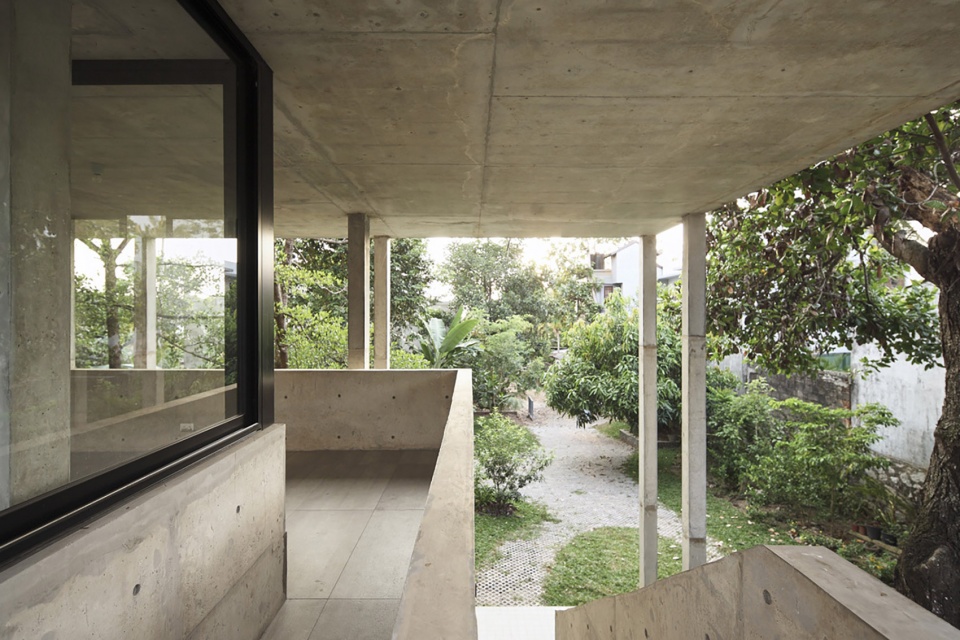 Big Trees Small Plants ReAD Studio