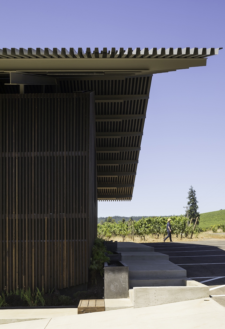 Furioso Vineyards by Waechter Architecture