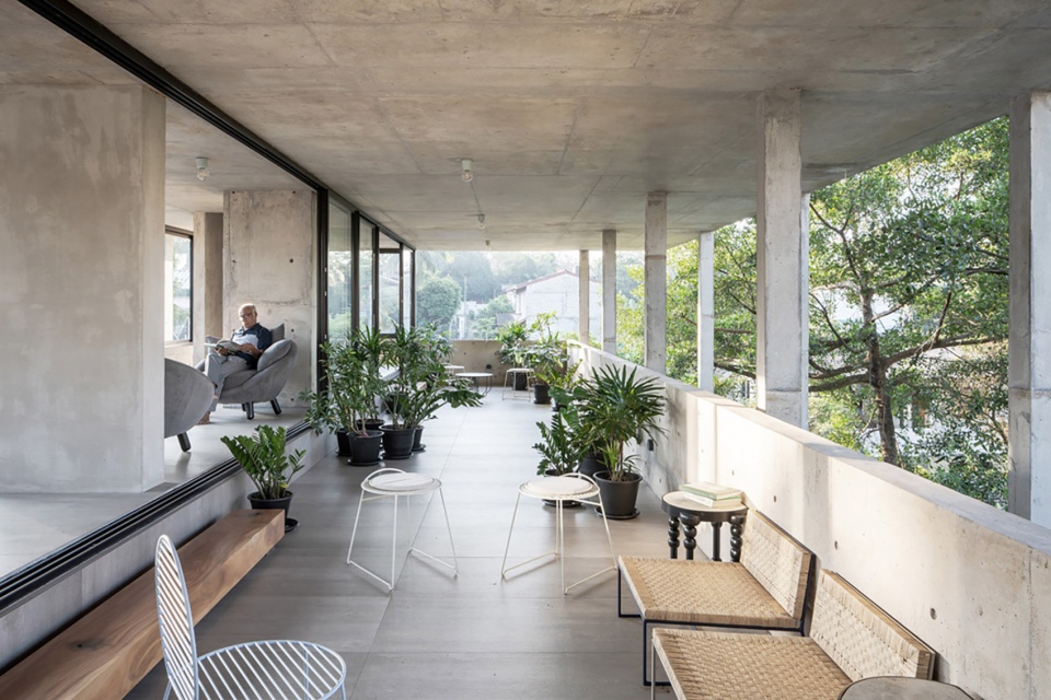Big Trees Small Plants ReAD Studio