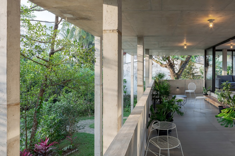 Big Trees Small Plants ReAD Studio