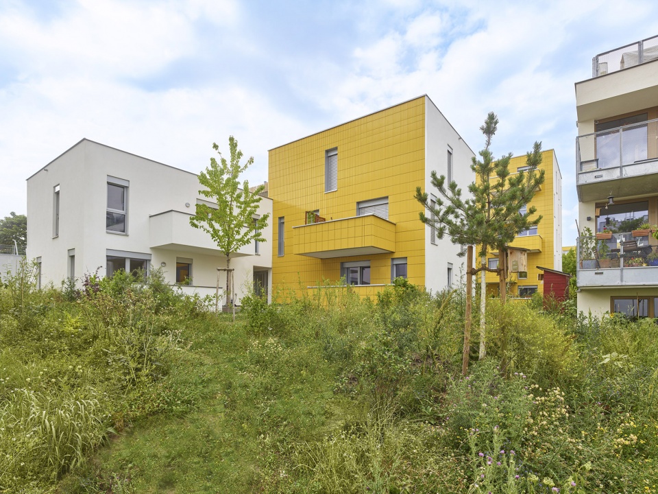Housing project in the new district WILDGARTEN Arenas Basabe Palacios