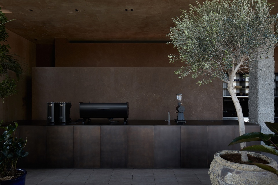 Terra by Bone Studio