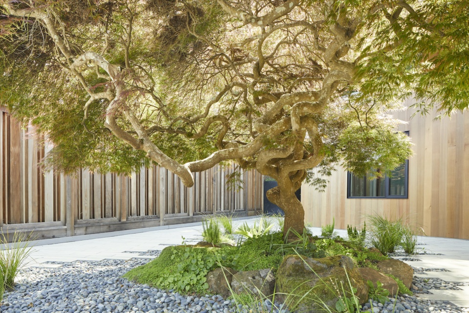 Breezy Landscape In A Japanese Inspired Retreat By SAW
