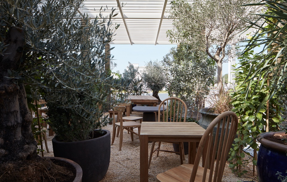 Terra by Bone Studio