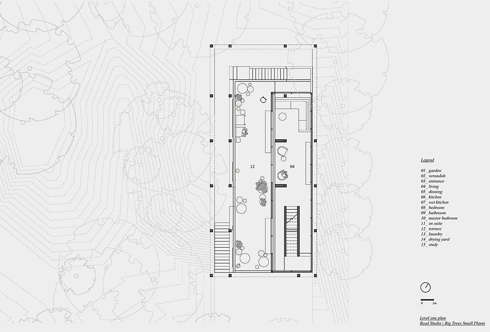 Big Trees Small Plants ReAD Studio