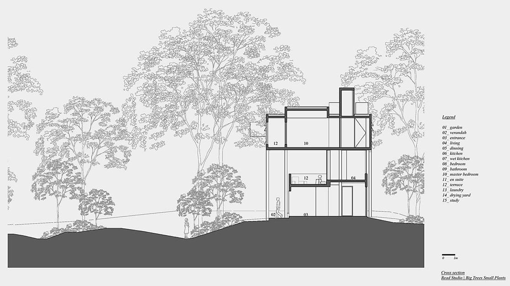 Big Trees Small Plants ReAD Studio