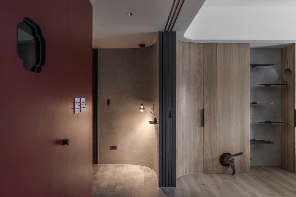 a path amongst cats residence by aoda interiordesign