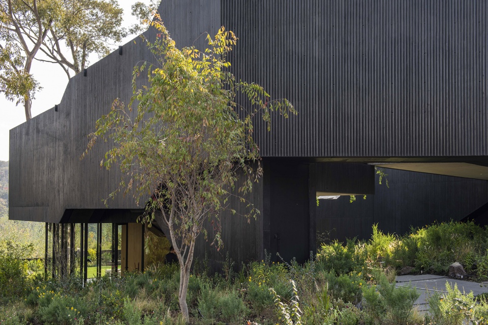 Pasiddhi House by Rojkind Arquitectos