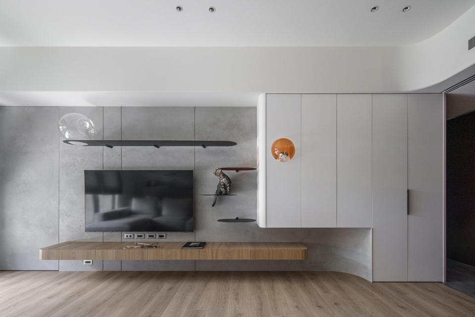 a path amongst cats residence by aoda interiordesign