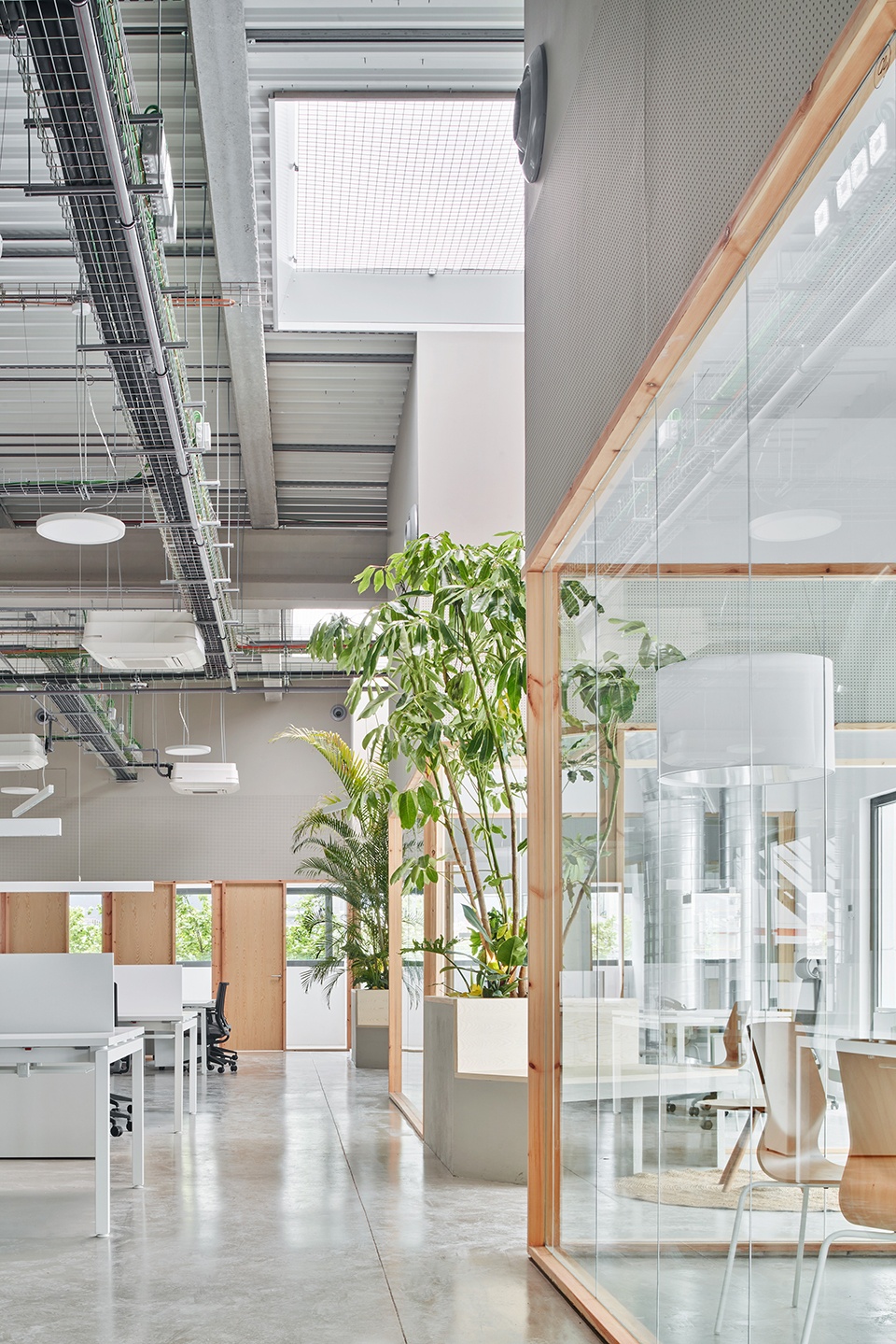 gpa offices by manu pages taller darquitectura
