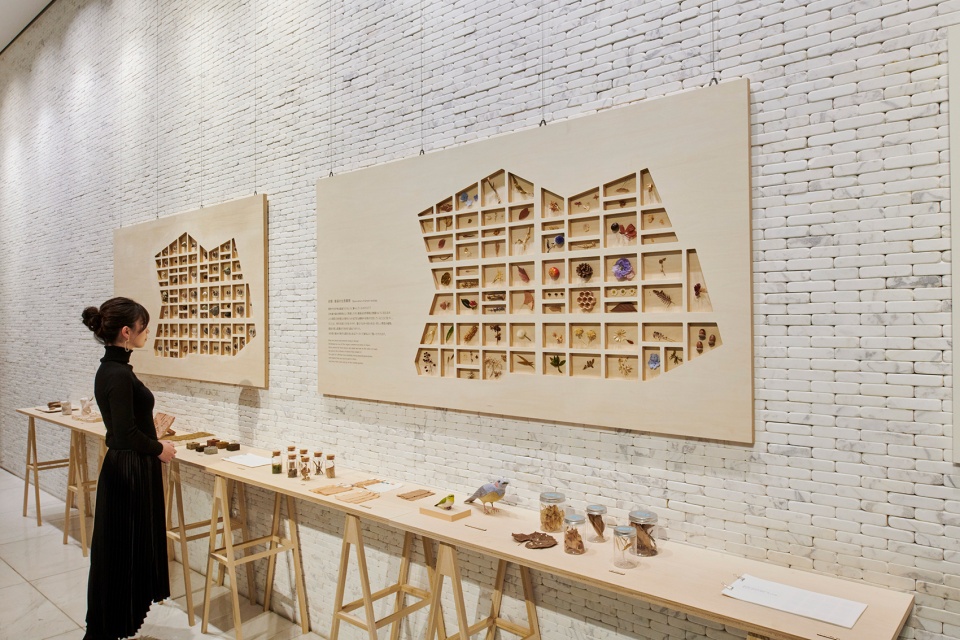 ginza ecological map by hakuten corporation