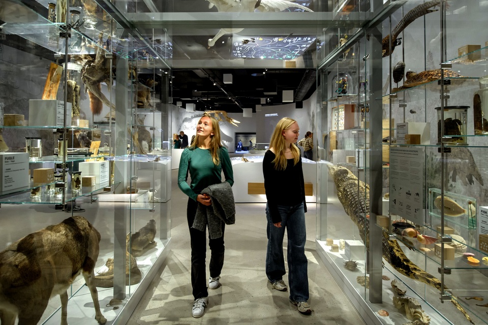 unesco world heritage site exhibition in denmark by tinker imagineers