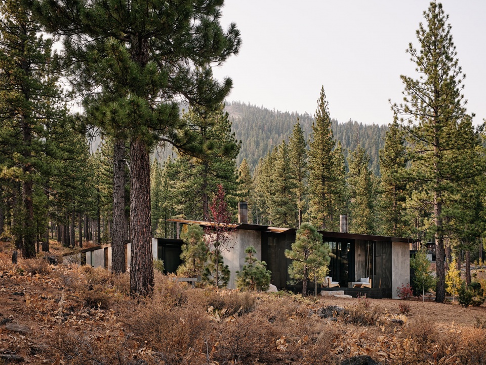 CAMPout Faulkner Architects