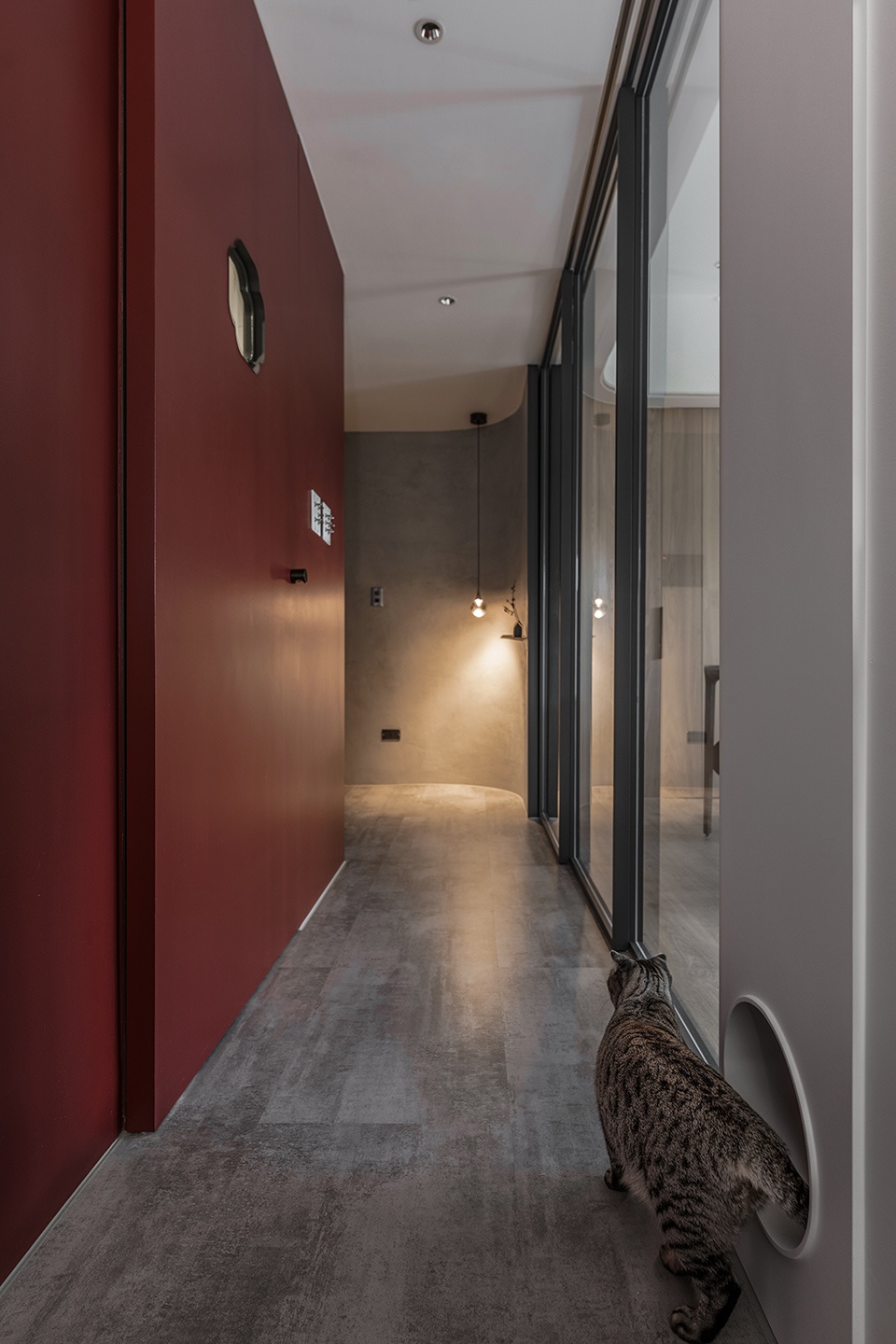 a path amongst cats residence by aoda interiordesign