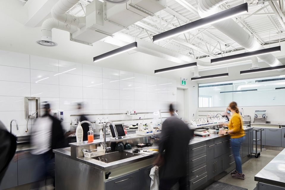 Lafond Desjardins Dental Laboratory by ACDF Architecture