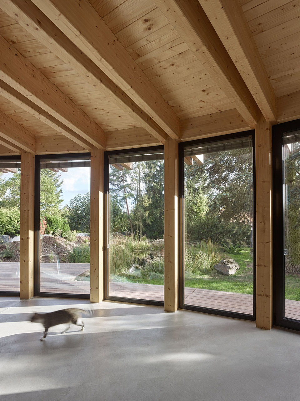 House that opens up to the sun by Stempel Tesar architekti