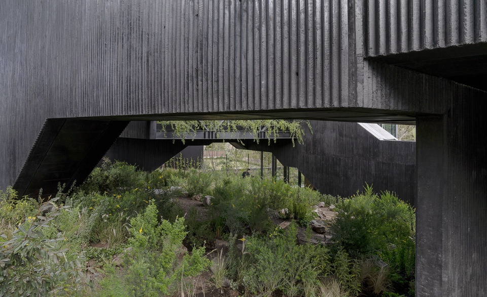 Pasiddhi House by Rojkind Arquitectos