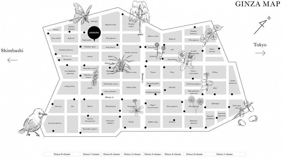 ginza ecological map by hakuten corporation