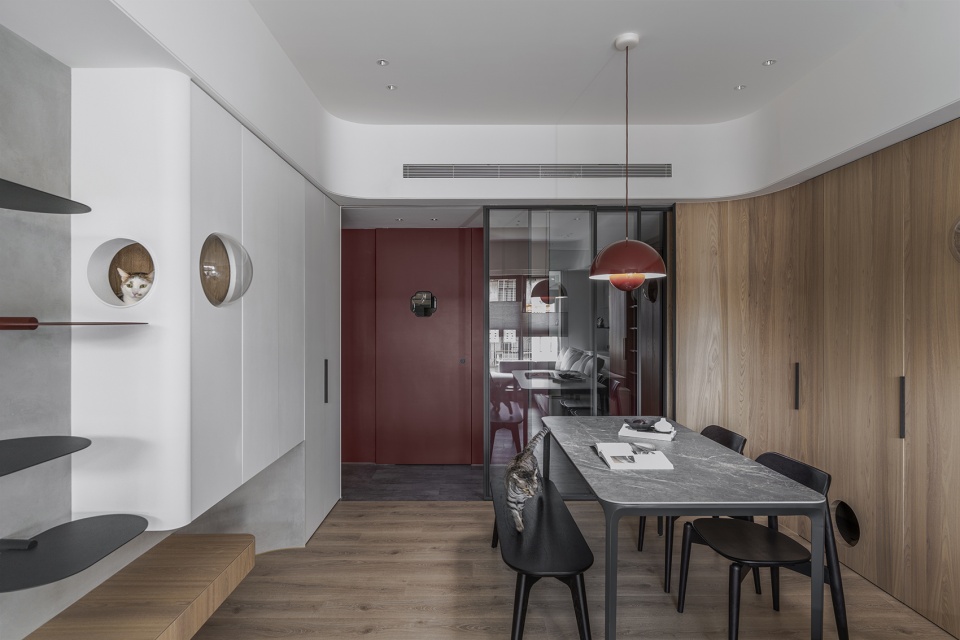 a path amongst cats residence by aoda interiordesign